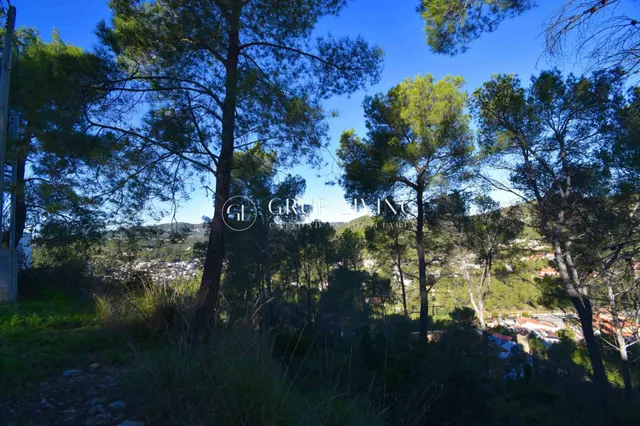 PARCELA CON INCREÍBLES VISTAS EN MAS MESTRE — 7
