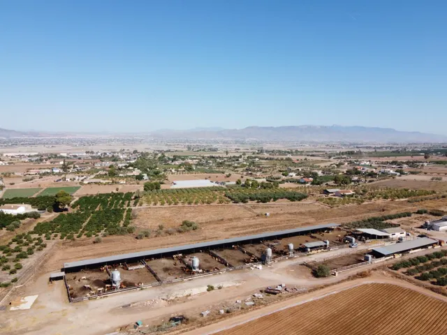 Gran explotación ganadera en lorca: capacidad para 760 cabezas y finca agrícola en producción — 5