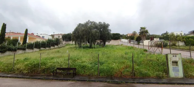 Parcela en El Pinar en Sierra de Fuentes - foto 4