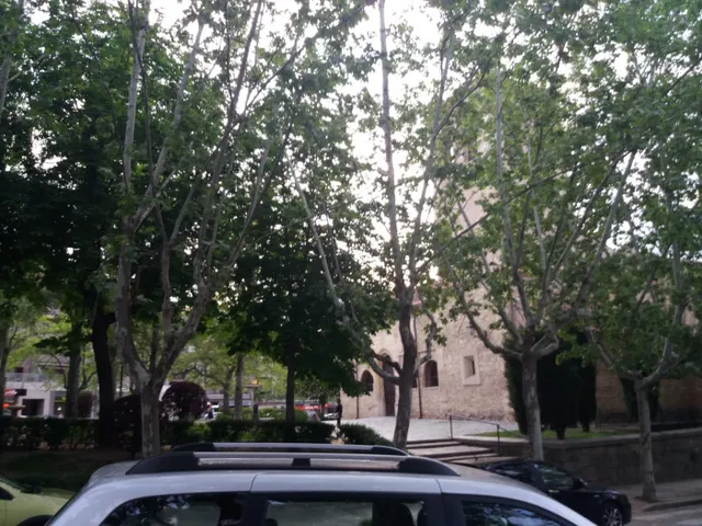 ALQUILER.-.GARAJE.-.CALLE MORILLO.-.24 METROS.- — 29