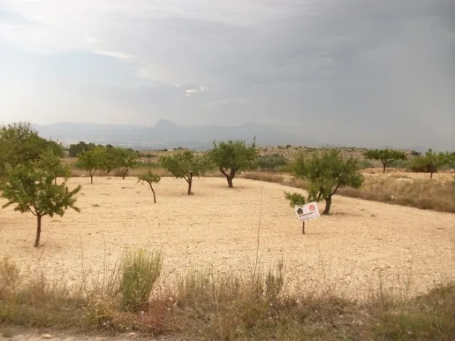 Parcela de 10.000 metros rural — 6