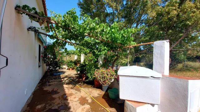 CORTIJO PARA TI Y TUS ANIMALES — 3