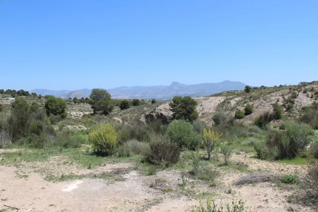 Se vende casa-cueva en Monovar con 2000 metros de terreno!!! — 15