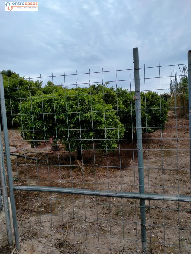 CONJUNTO DE PARCELAS EN PETRÉS - foto 3
