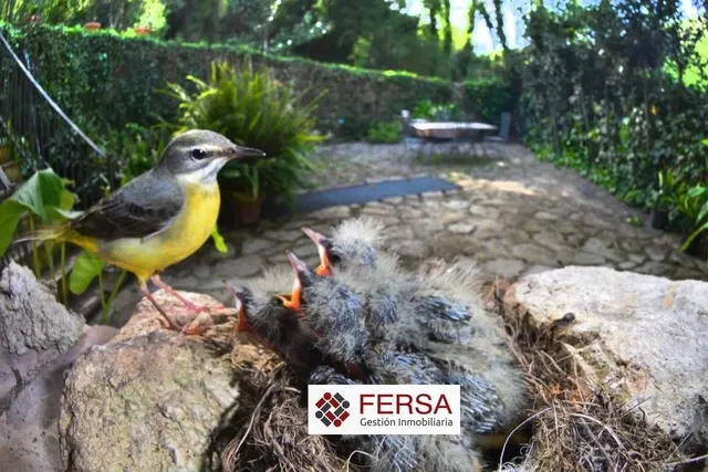 PRECIOSA CASA RURAL EN BENAMAHOMA — 30