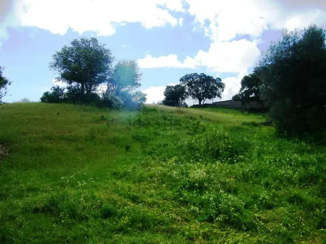 Solar urbano de 5.347 m2 para 16 chalets junto al Pantano de Valdecañas — 9