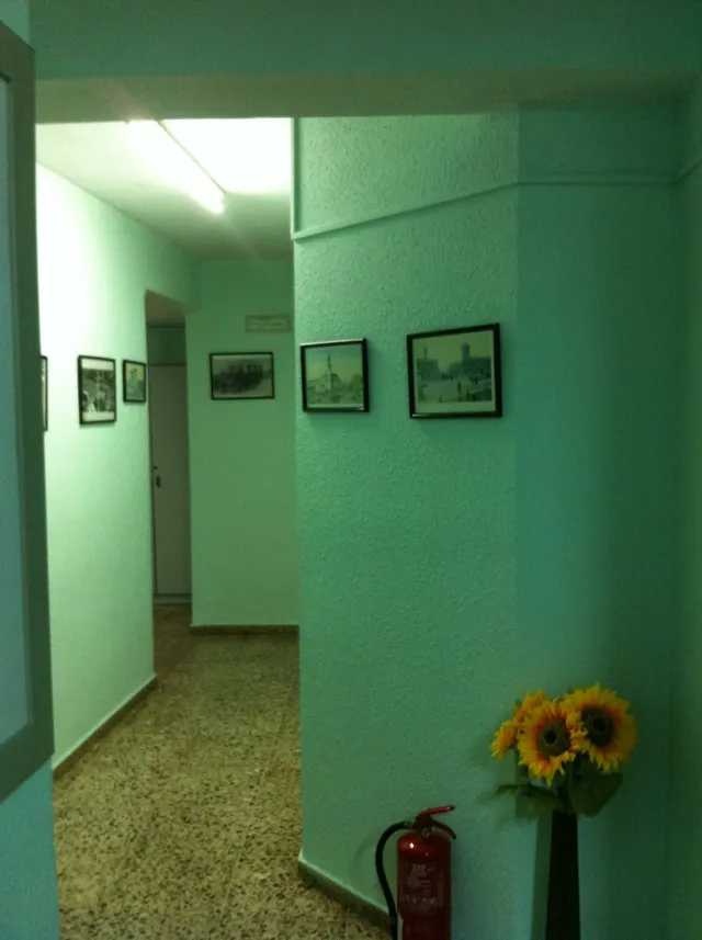 ESPECTACULAR LOCAL EN CENTRO DE GANDIA CON ENTRADA EXCLUSIVA PARA TODO TIPO DE NEGOCIOS O VIVIENDAS — 10