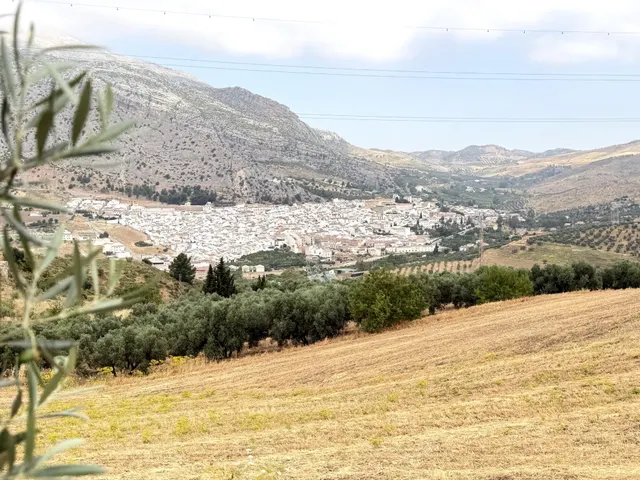 EN EXCLUSIVA PARCELA RUSTICA CON CASA EN LA ZONA DEL VALLE D - foto 2