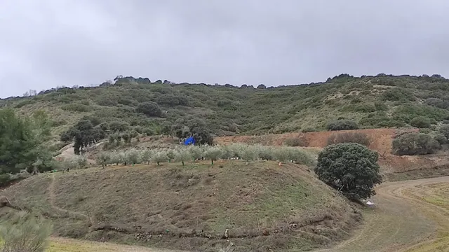 TERRENO RURAL EN DEHESA DE LOS HUEROS — 9