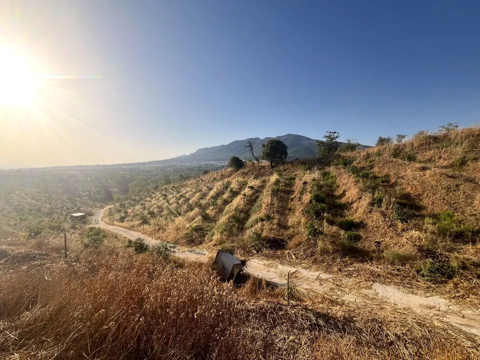 Parcela en venta - Puerto Sol-Los Almendros-El Tomillar