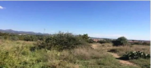 Terreno Rústico 4469m² en venta - Betera Pueblo - foto 4