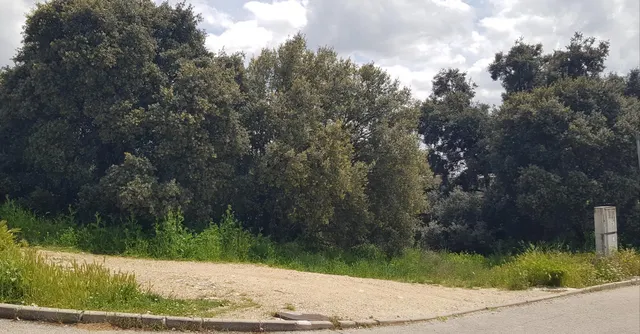 PARCELA DE ESQUINA EN PIOZ — 2