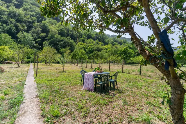Casa con parcela ¡lista para entrar a vivir! - foto 5
