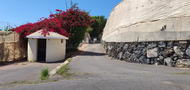 Oportunidad Única: Finca Agrícola de 64.894 m2 con Vistas al - foto 2