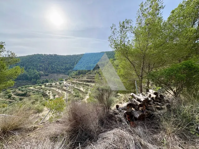 casa con parcela en un paraje natural — 15