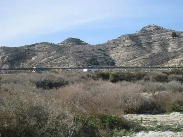 SE VENDE PARCELA EN ZONA DE TRES HERMANAS EN ASPE - foto 3
