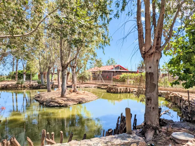 FINCA RÚSTICA VALLADA EN AMPOSTA ZONA ULLALS DE BALTASAR - foto 4