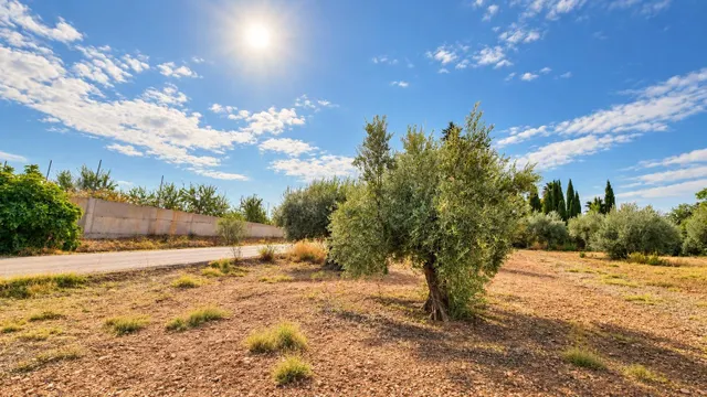 Parcela rústica de 4.824 m2 en Llanos de Moraleda, Moraleda de Zafayona — 31