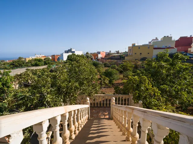 Finca rústica con amplia vivienda y azotea en Las Mejías – Ingenio, Gran Canaria — 9