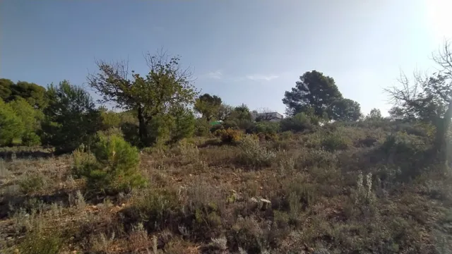 Se vende terreno de secano en Llíria. / HH Asesores, Inmobiliaria en Burjassot/ — 4