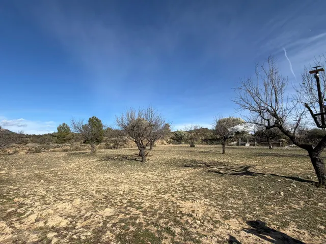 Terreno Casinos — 11