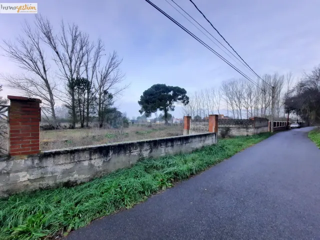 SE VENDE TERRENO RUSTICO EN TUDELA DE DUERO - foto 3