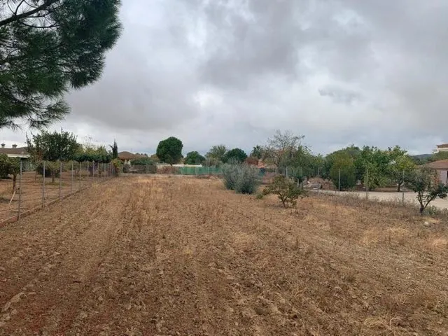 Parcela de terreno de 2100 m. en La Gorgoja. - foto 4