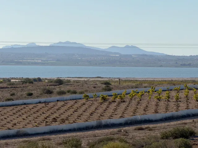 La Mata! Interesante ático con Gran Terraza e impresionantes vistas a la Laguna Rosa (300 mts playa) — 26