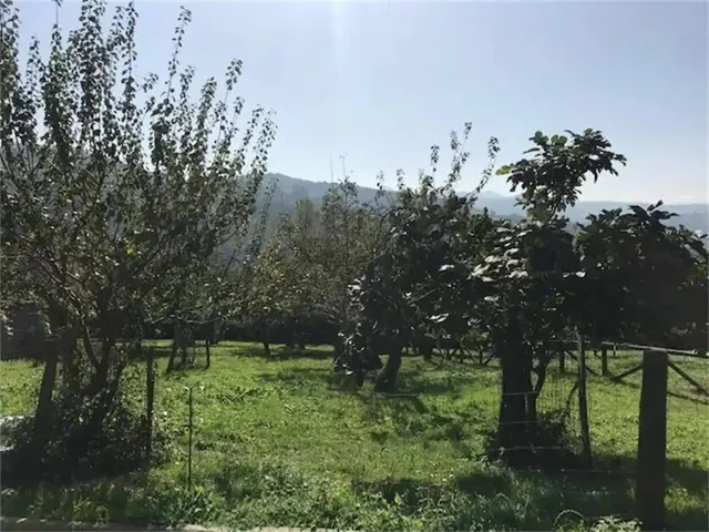 Encanto asturiano: casa con hórreo, cochera y finca edificab - foto 2
