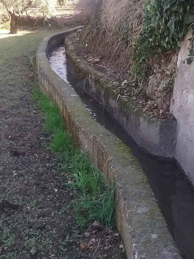 OLIVAR EN LA ZUBIA DE 3.597 M2 — 11