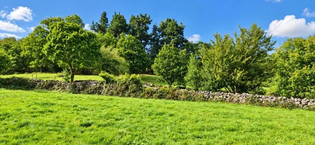 Exclusiva finca rústica de 3.899 m2 con proyecto de vivienda y autorización favorable de la crotu en sel de la carrera .- — 7