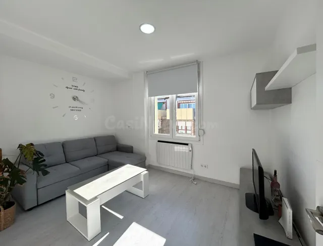 Piso reformado en La Milagrosa - foto 3