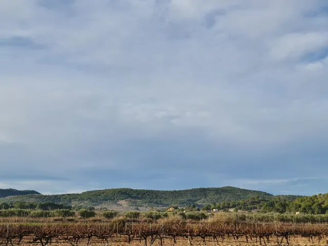 Terreno en venta en Monóvar Comunidad Valenciana — 11