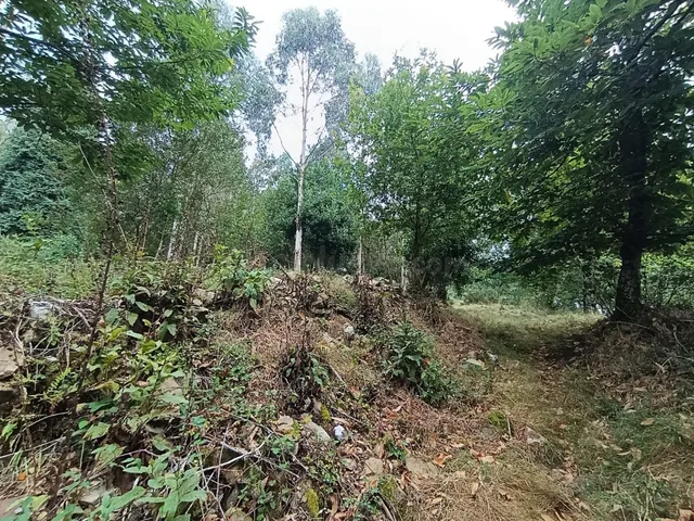 Finca rústica 40m² en venta - Northern spain — 8