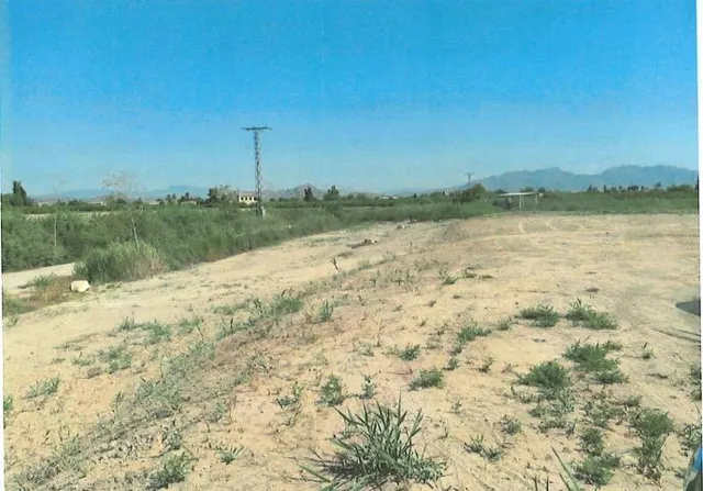 TERRENO RÚSTICO EN VENTA EN TORREAGUERA. — 5