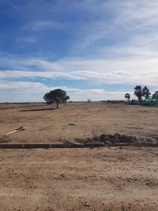 FINCA RUSTICA — 3