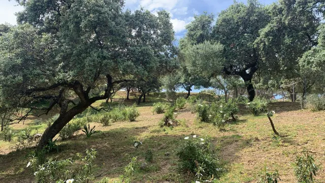 Terreno urbano en venta - Calasancio — 11