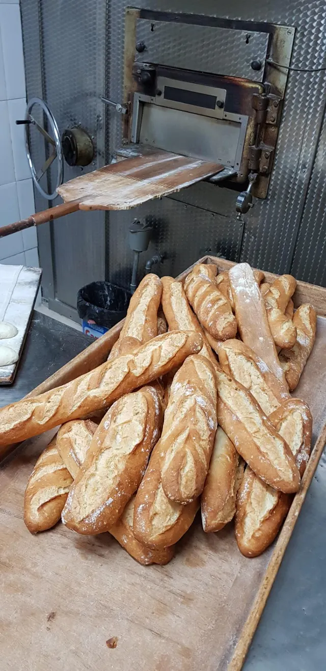 TRASPASO DE HORNO  BOLLERÍA  EN EL BOTANIC — 42