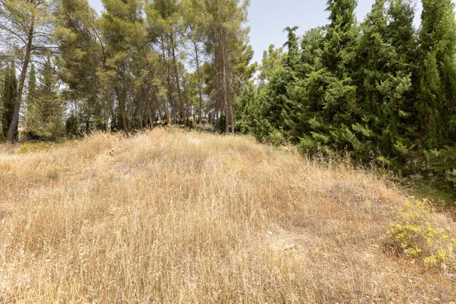 EXCLUSIVO TERRENO EN VENTA EN ALBOLOTE — 15
