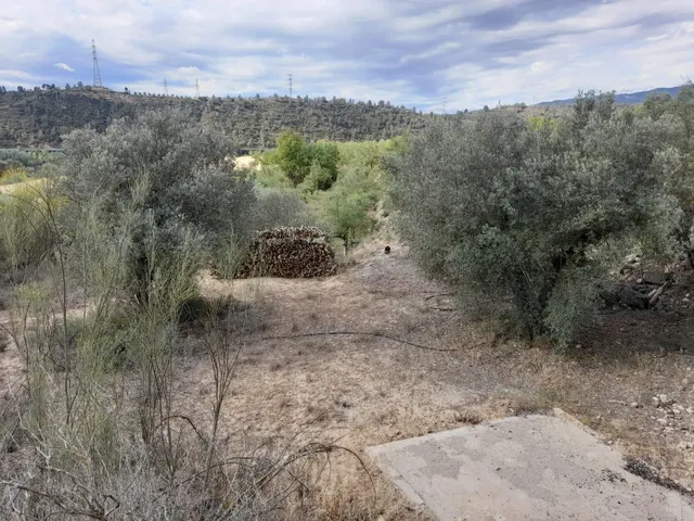 OPORTUNIDAD FINCA RUSTICA DE REGADIO CON CASA DE CAMPO EQUIPADA EN ASCO — 23