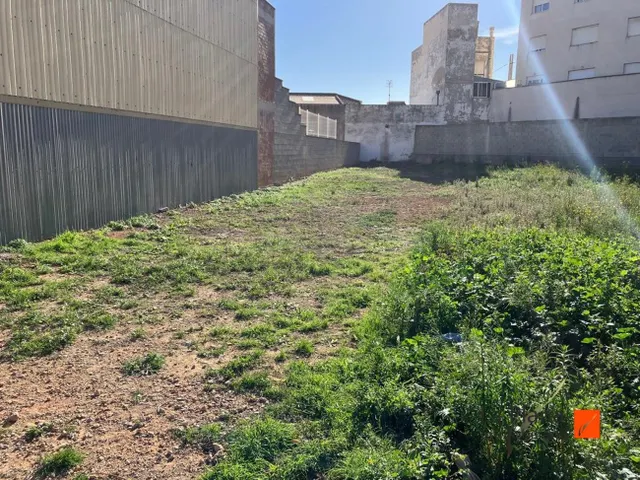 PARCELA EN VENTA EN ZONA "VALLETES" DE AMPOSTA (TARRAGONA) - foto 3