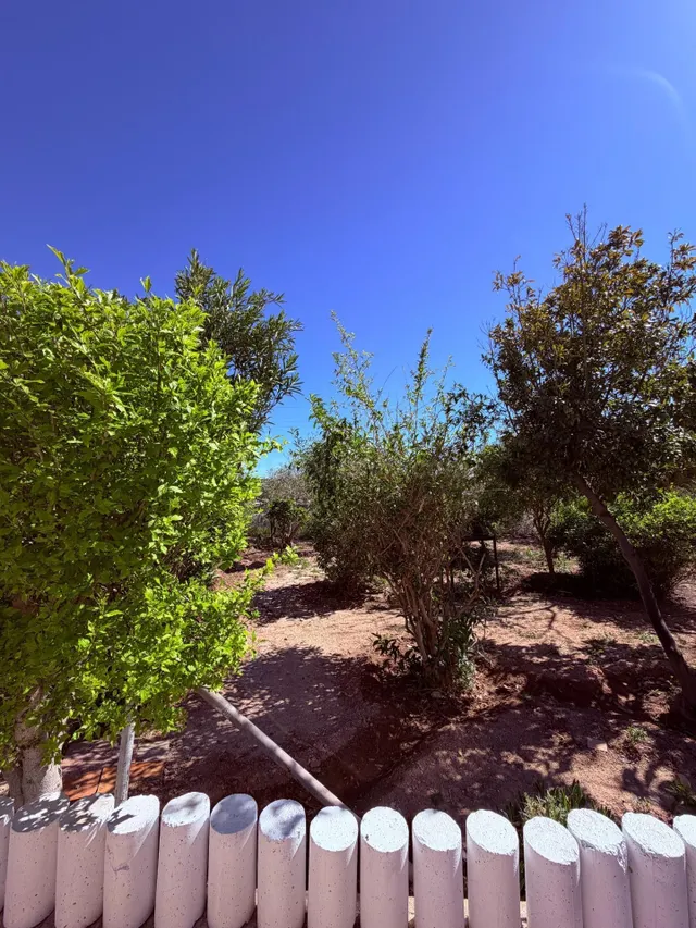 Espectacular casa de campo en Crevillente con amplias parcel - foto 5