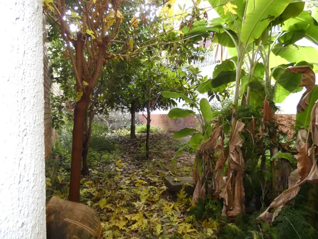 Gran local con jardín y posibilidad de vivienda en Cornellà  - foto 5