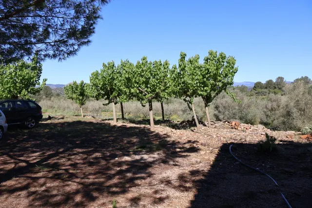 MASIA EN VILAFAMES CON TERRENO — 22