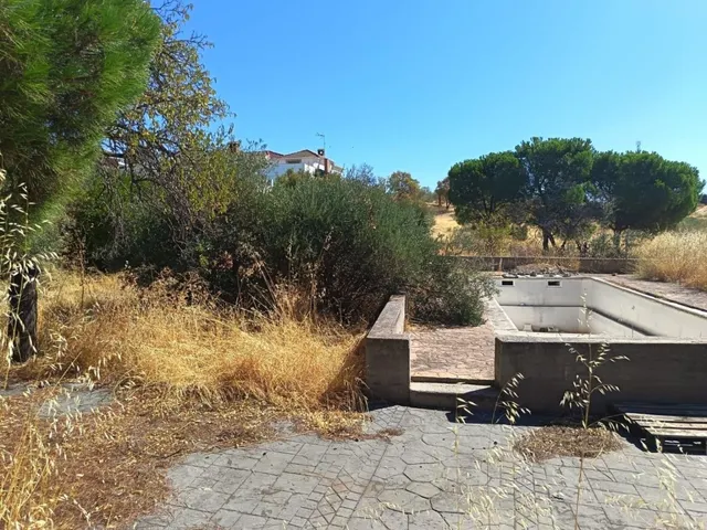 Oportunidad en Albarreal de Tajo – ¡Sin comisión al comprador! — 24