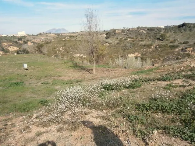 TERRENO EN CASTELLBIBAL EN ZONA CAN NICOLAU (ENTRE CASTELLBISBAL Y MARTORELL) — 21