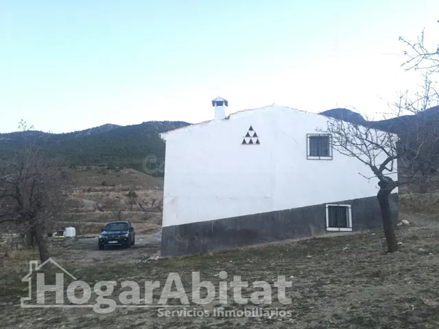 Naturaleza, privacidad y gran producción agrícola en esta singular finca rústica con cortijo tradicional en Vélez-Rubio — 4