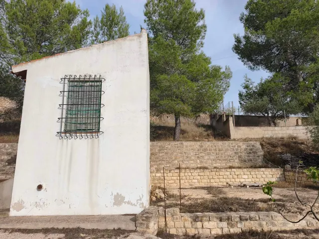 Terreno Rural en Almansa - San José a un Precio Inmejorable - foto 5