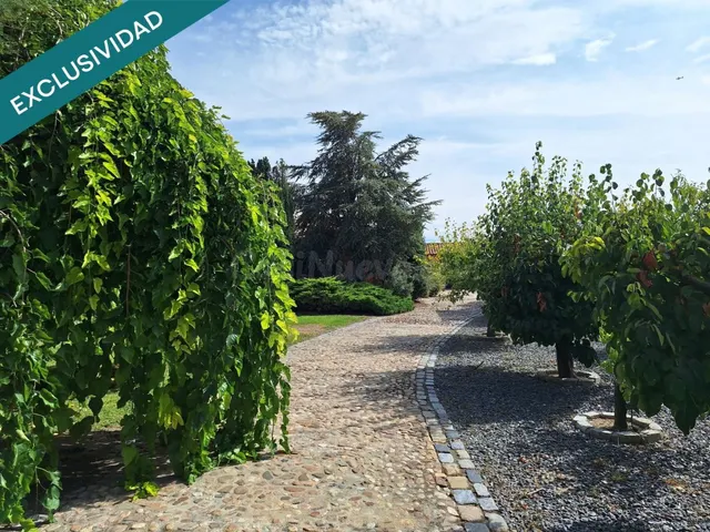 Finca deluxe: confort, naturaleza y disfrute total - foto 4
