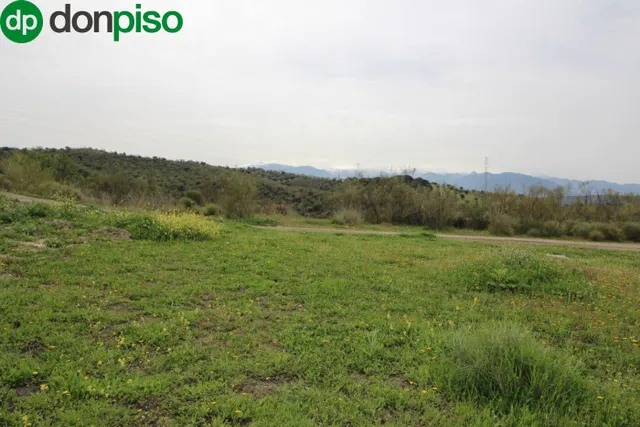 FINCA EN CORTIJO SAN JERÓNIMO (BARTODANO) — 14